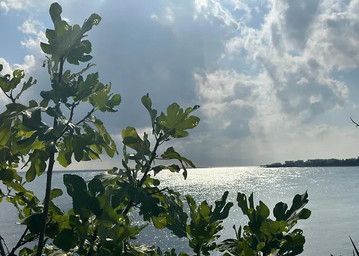 Seaside Oasis 로제넷츠