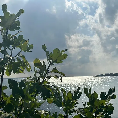 Seaside Oasis لوزينيتس